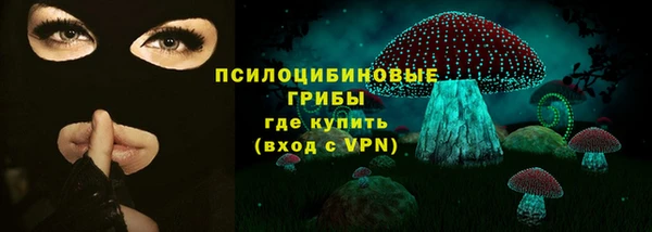 МДПВ Лиски